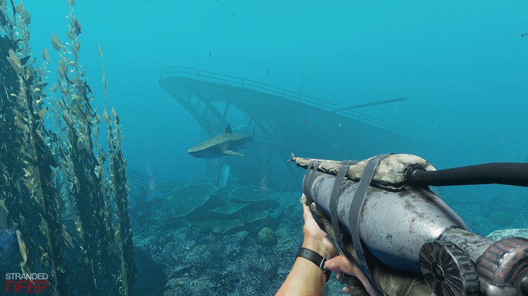 Săn cá mập trong game Stranded Deep nào