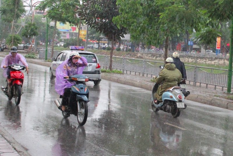 Thời Tiết Hải Phòng: bức tranh khí hậu ven biển theo mùa