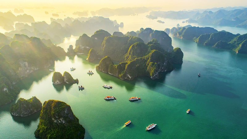 Ảnh hưởng xã hội & giá trị bền vững