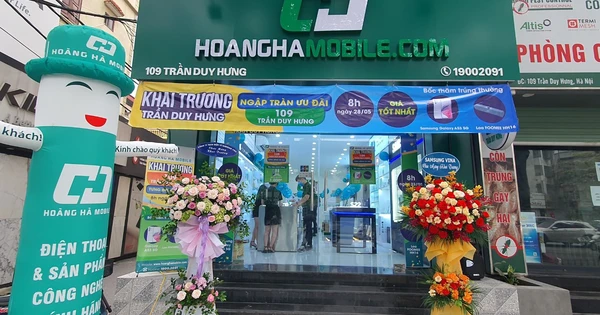 Hoanghamobile - Lĩnh vực kinh doanh chính