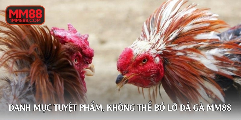 Danh mục tuyệt phẩm, không thể bỏ lỡ đá gà MM88