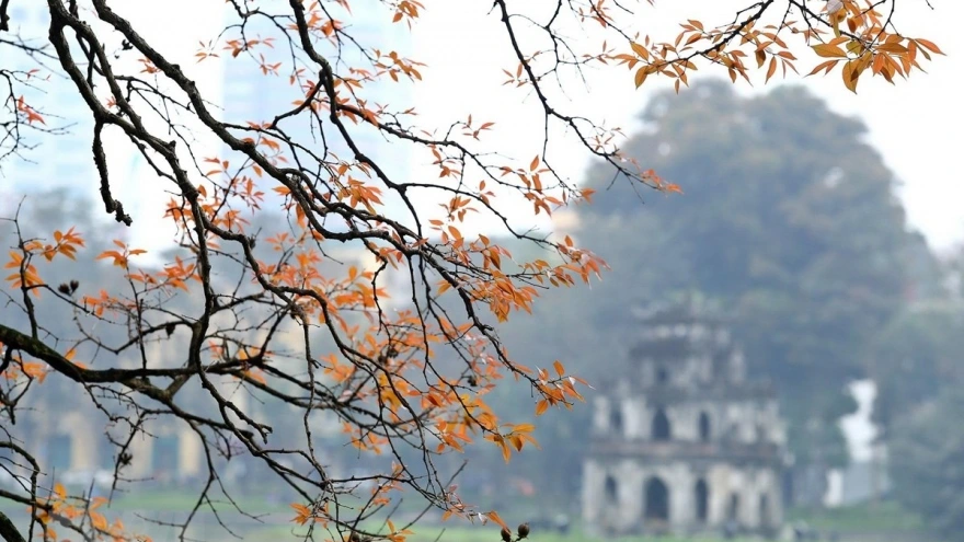 Trò chơi của google về năm ất tỵ - Chế độ chơi nhanh và thử thách hằng ngày